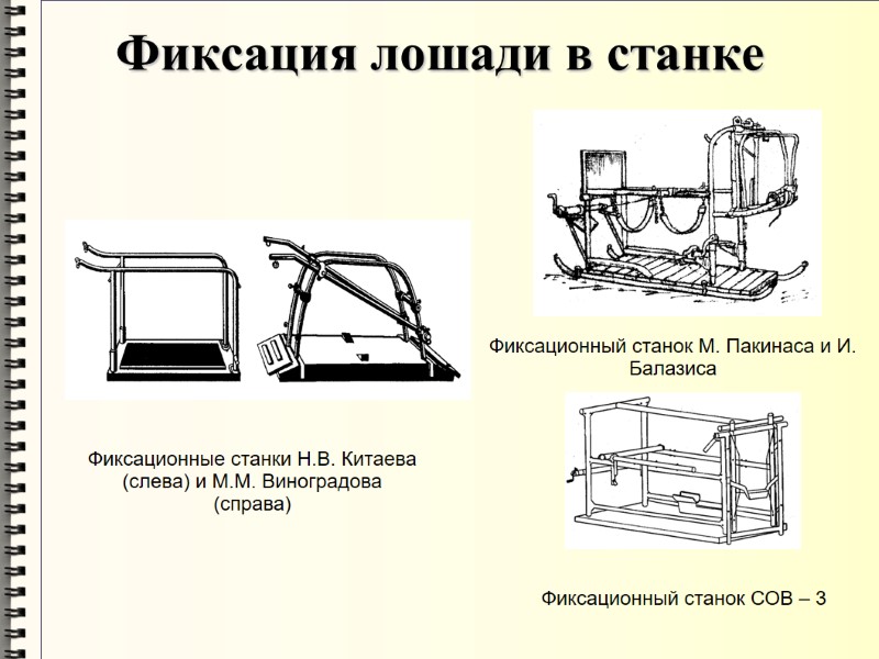 Фиксация лошади в станке Фиксационные станки Н.В. Китаева (слева) и М.М. Виноградова (справа) Фиксационный